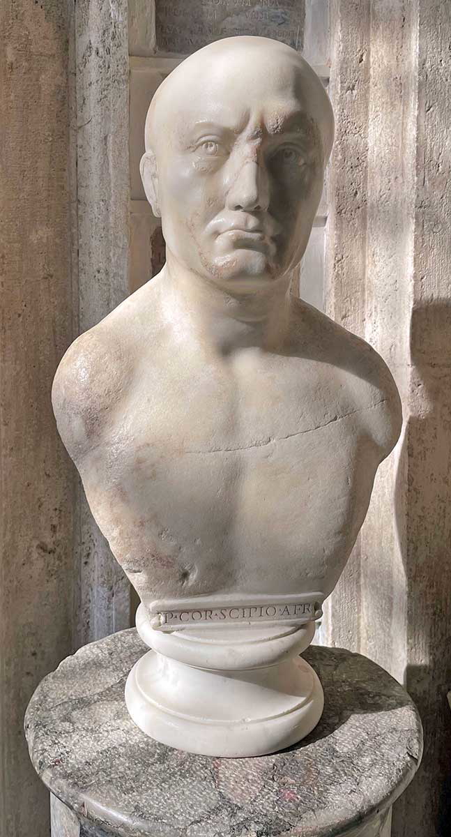 scipio africanus