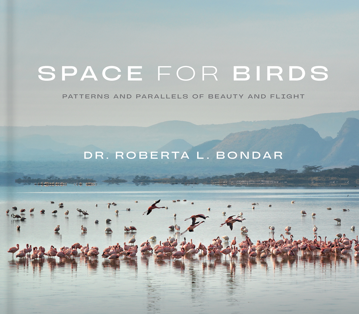 space-for-birds-book-cover-roberta-bondar