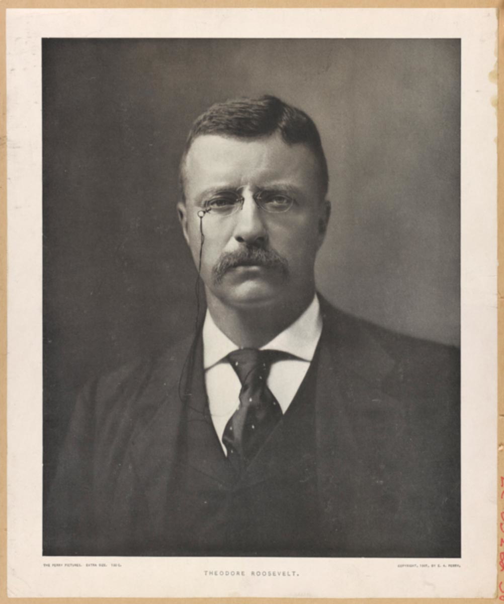 teddy roosevelt young