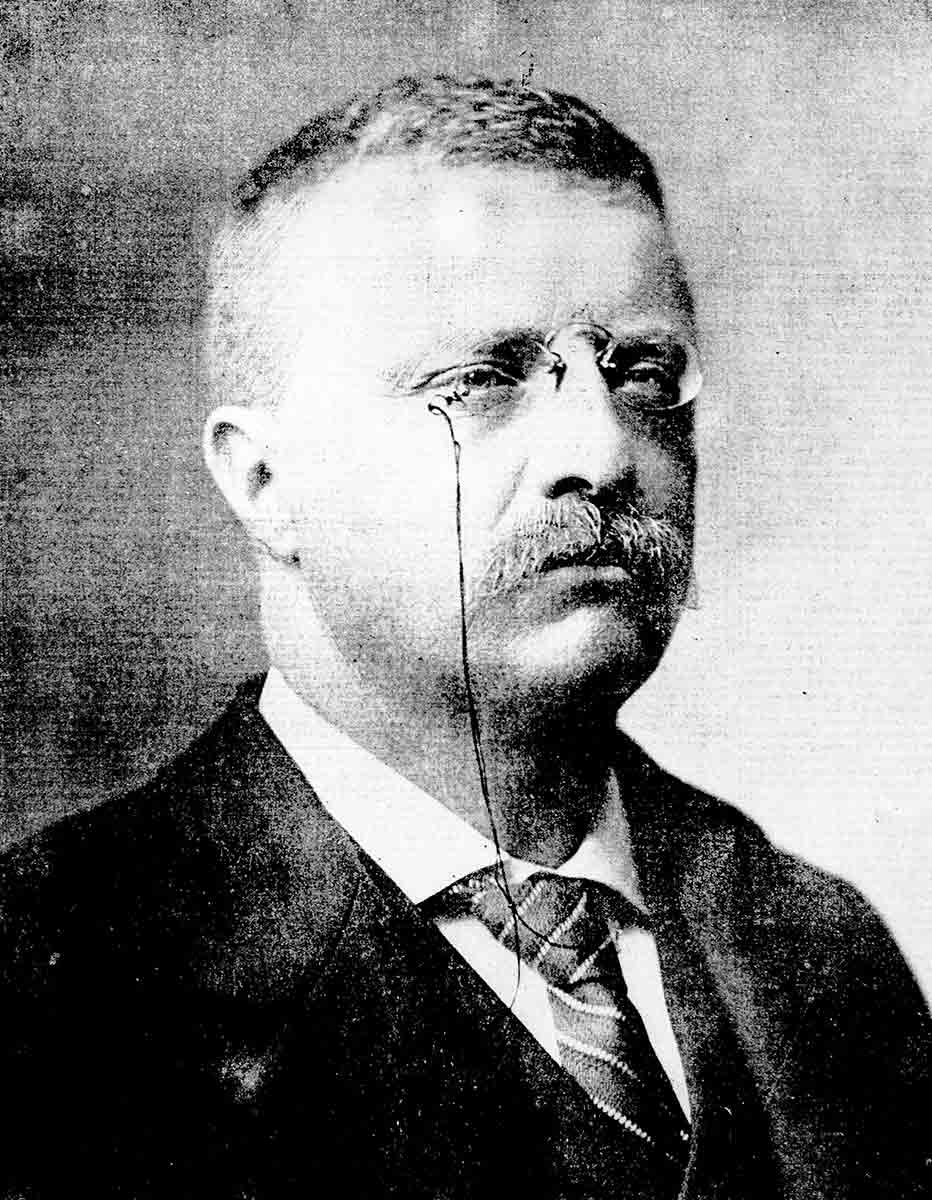 theodore roosevelt younger