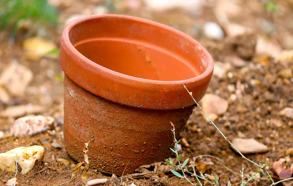 Empty Pot picture