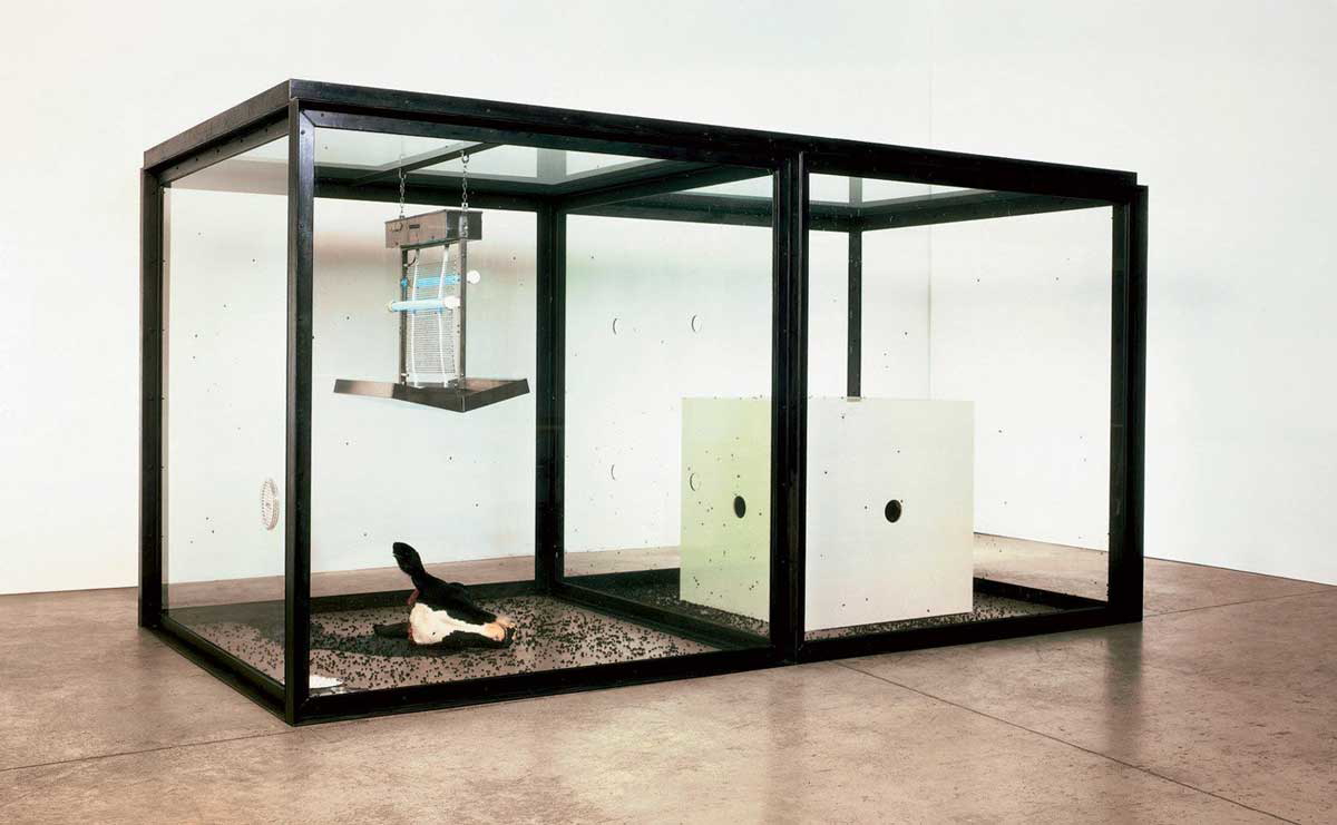 hirst thousand years installation
