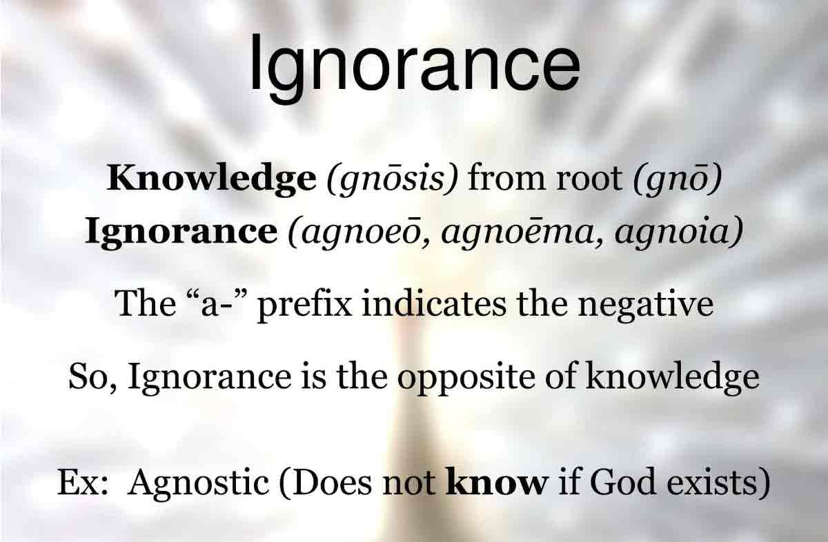 ignorance dictionary definition