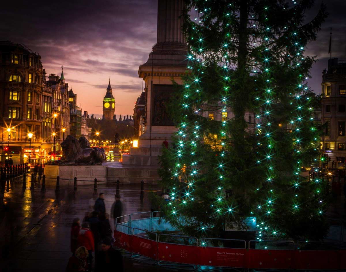 norweigan christmas tree trafalgar