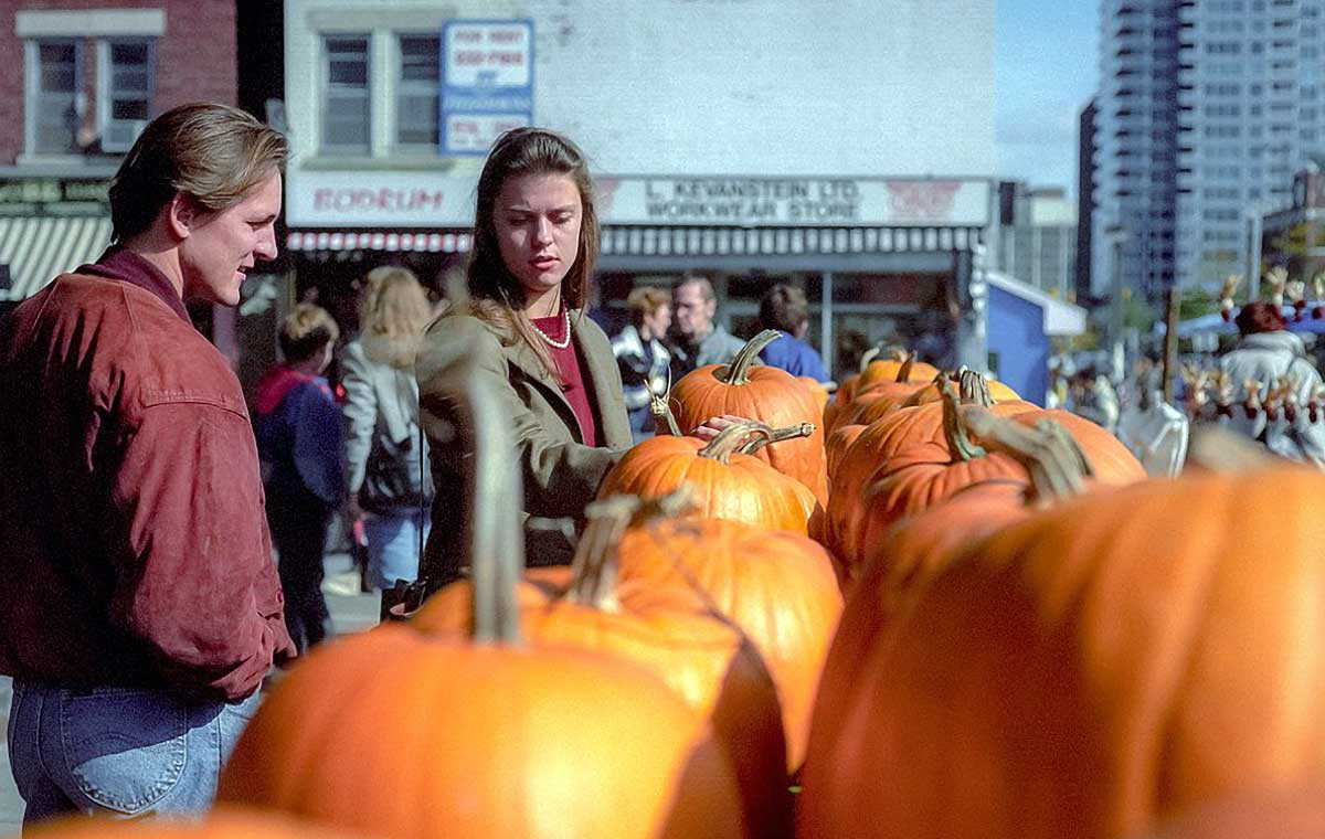 Shopping for pumpkins in Ottawa