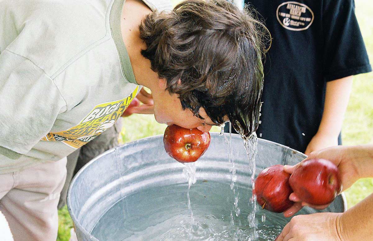 apple bobbing image