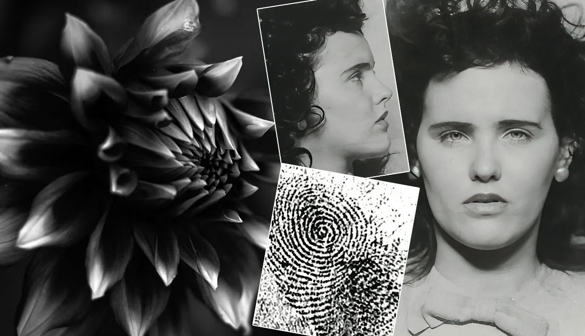 black dahlia case shocking facts