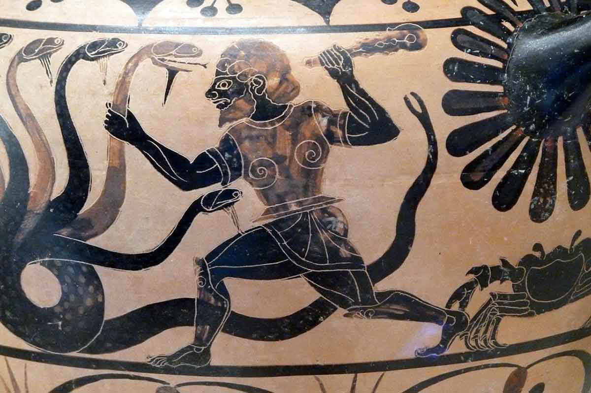 eagle caeretan hydra black figured