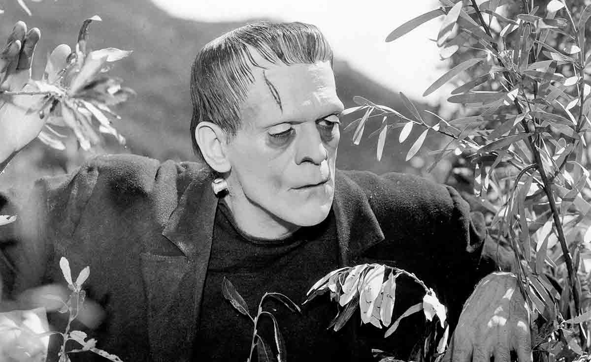 frankenstein film adaptation 1931