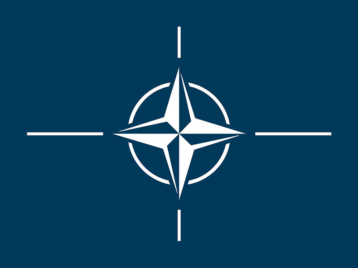 nato flag large