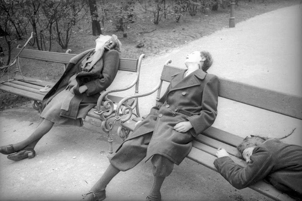 nazi family suicide
