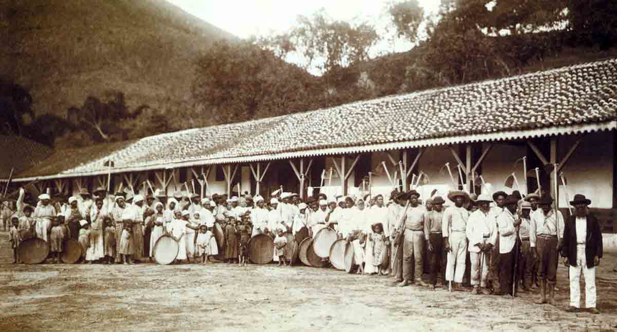 Slaves Brazil Coffee Plantation 1885