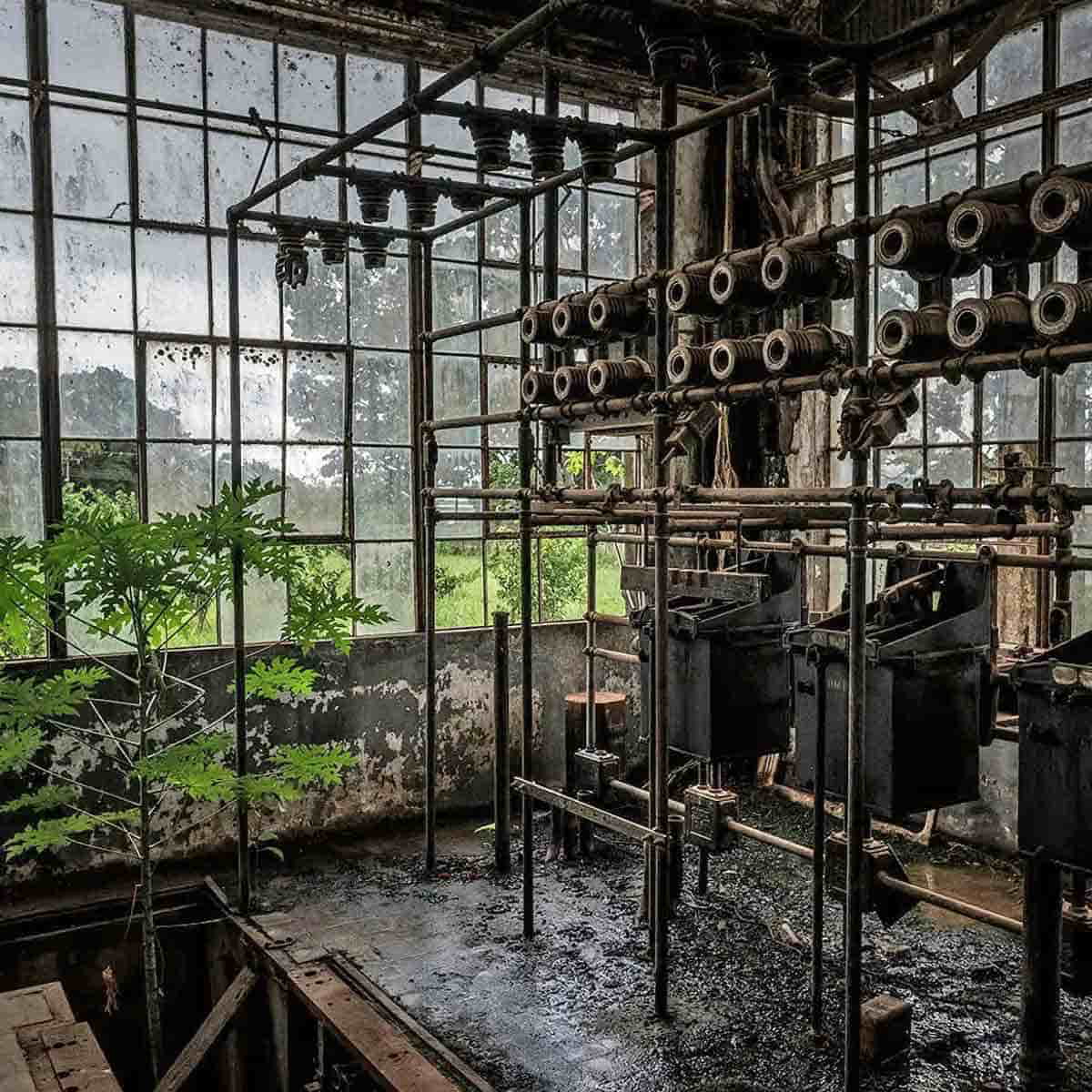 abandoned factory Forlandia