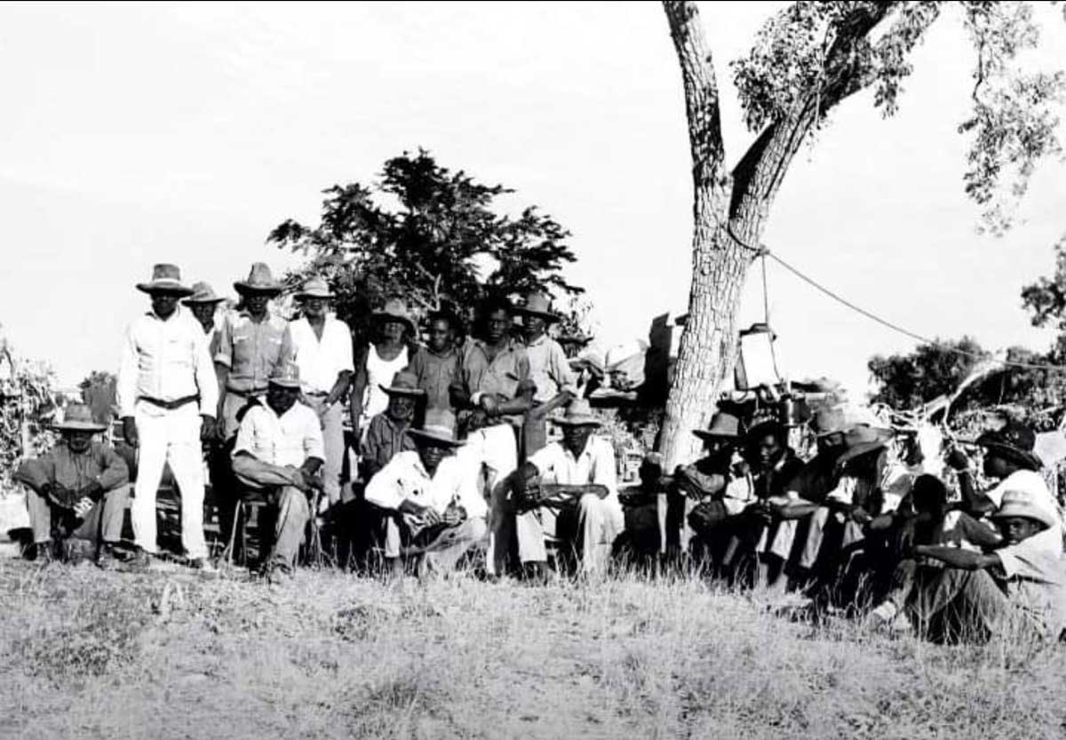 aboriginal gurindji workers strike 1966