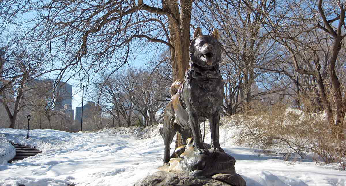 balto dog statue
