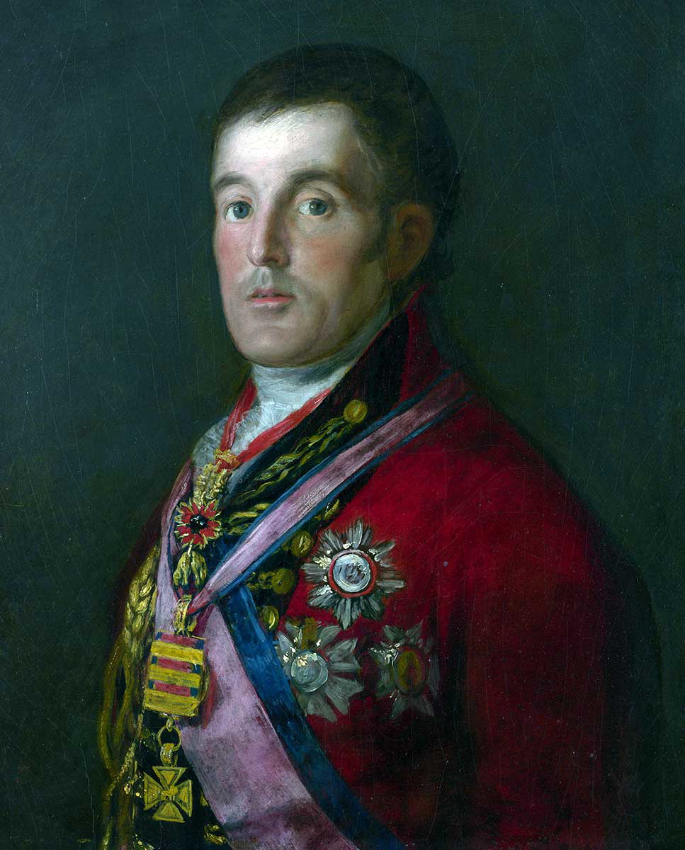 francisco goya portrait of the duke of wellington