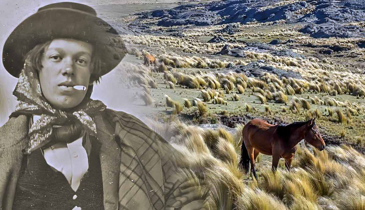 history gaucho argentina cowboy