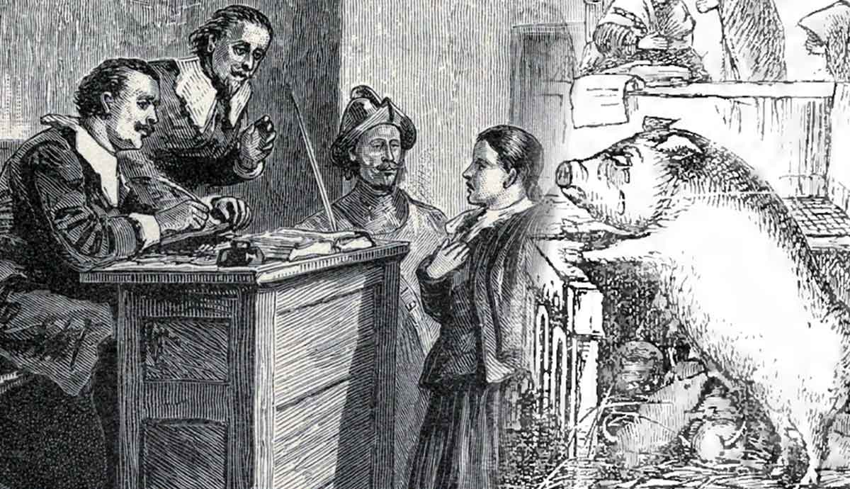 middle ages pig go on trial