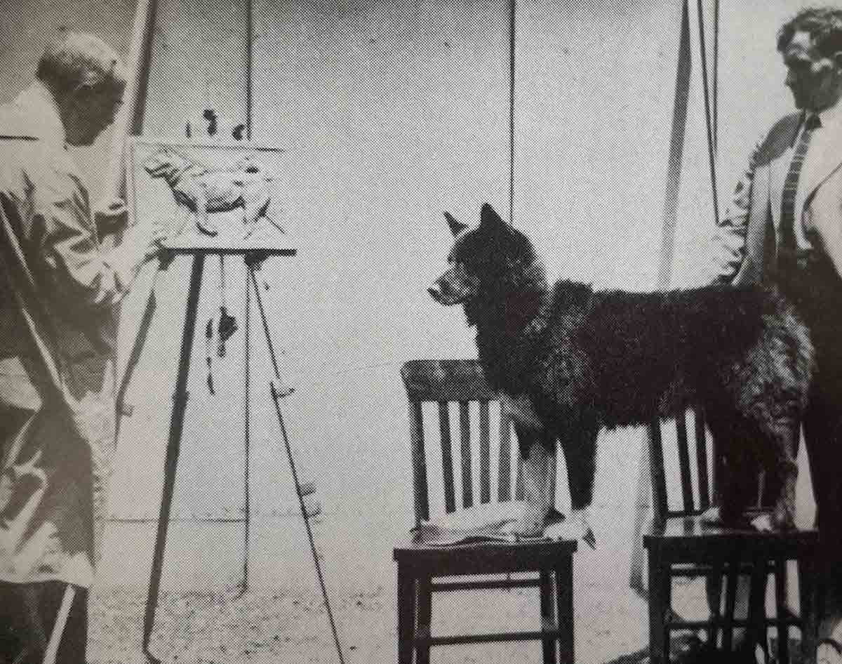 photo balto posing