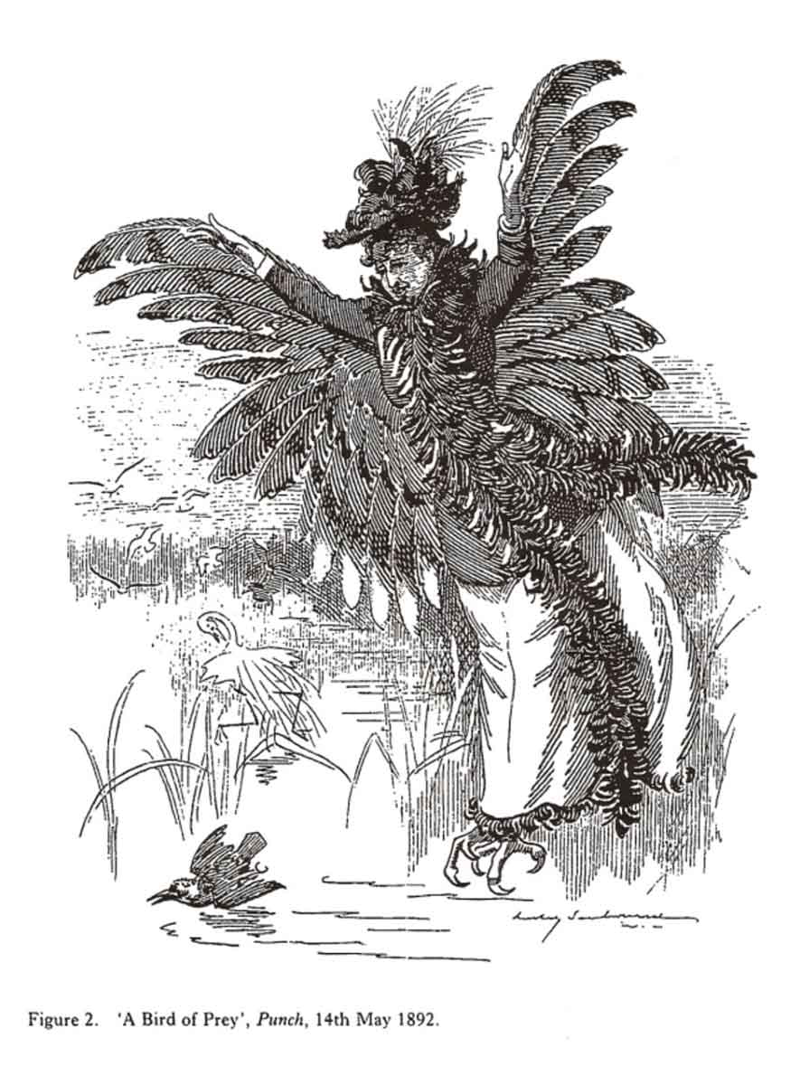 prey bird caricature