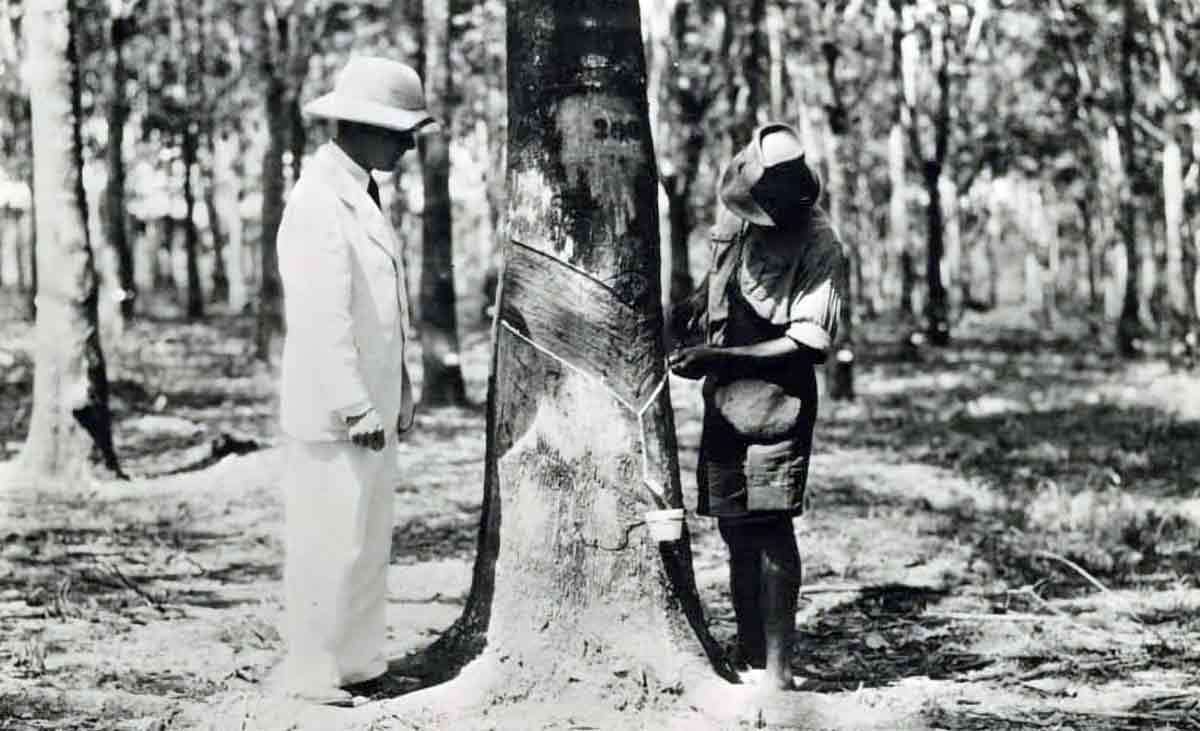 rubber worker fordlandia