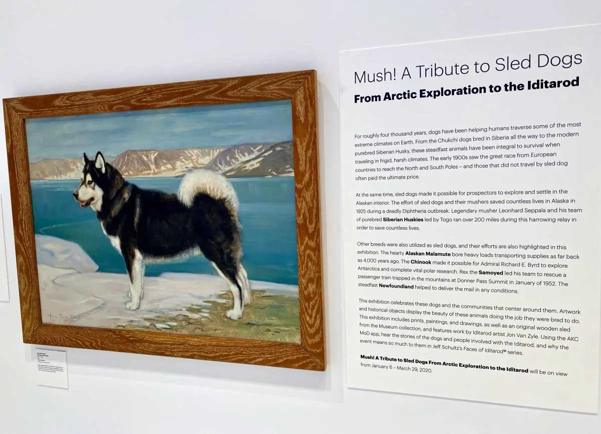serum run museum exhibit