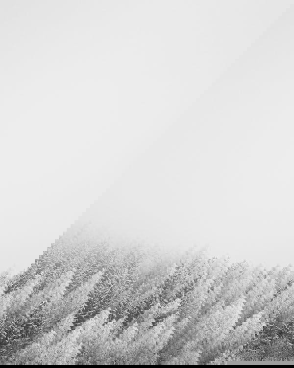 serum run whiteout