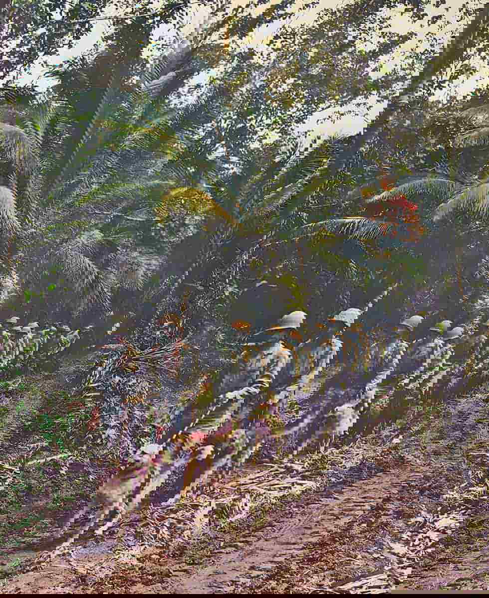special service forces raiders patrol