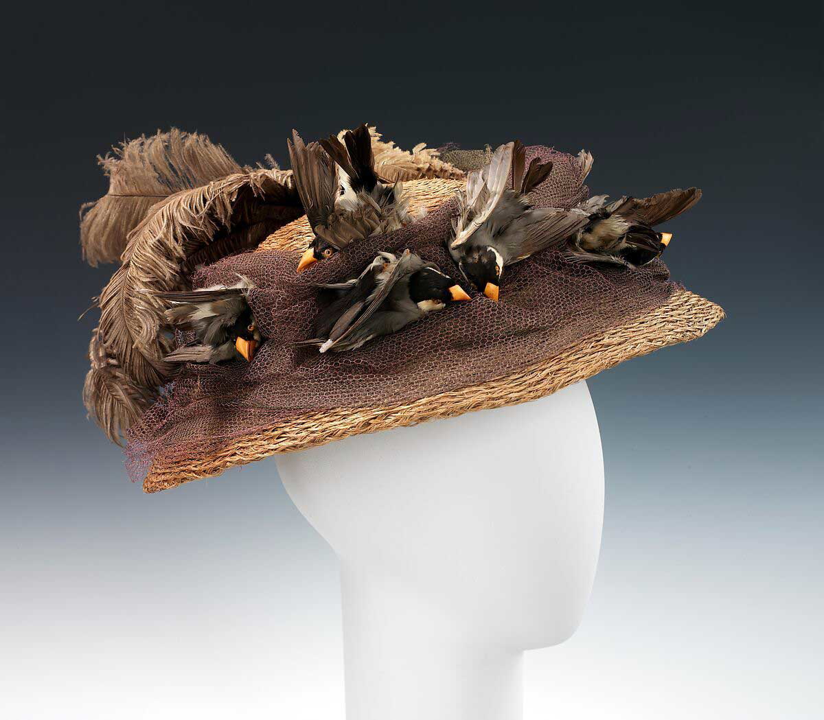 victorian age birds straw hat