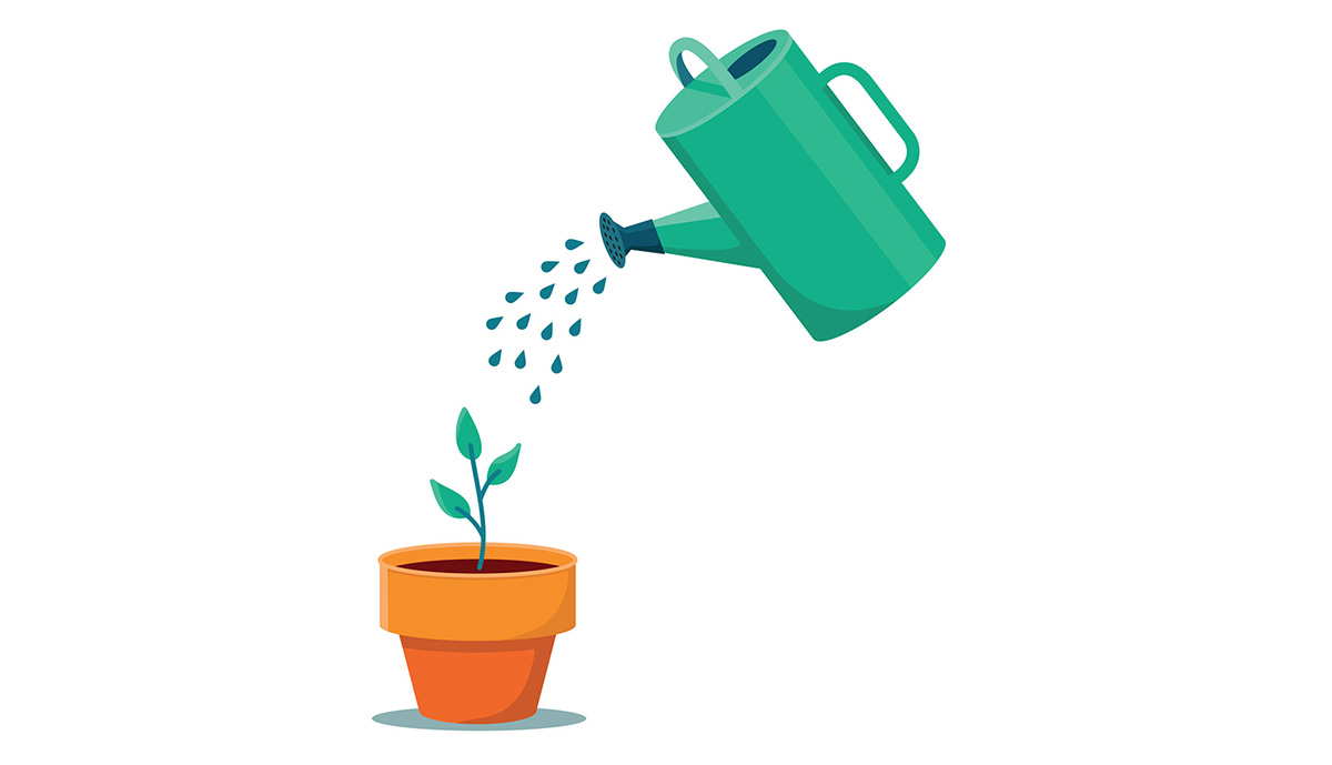 watering can plant