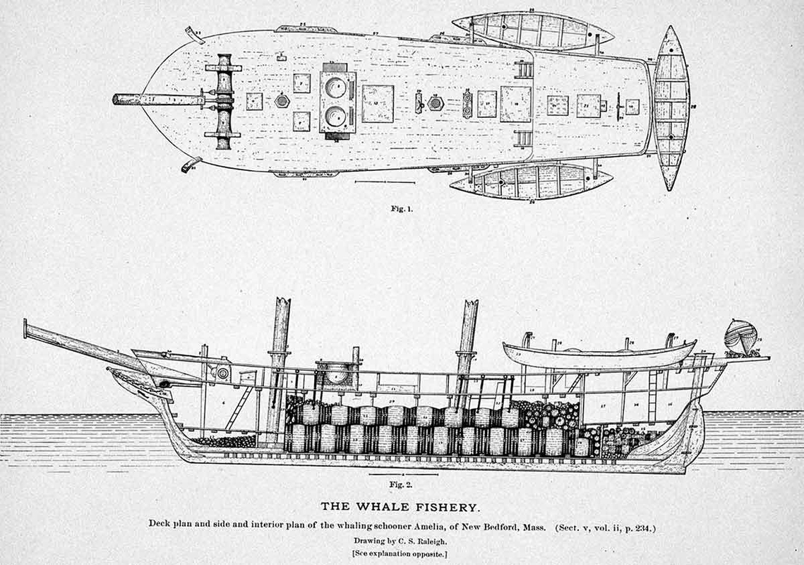 whale ship deck plan diagram
