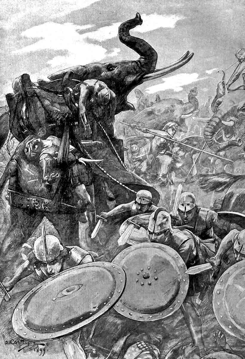 War Elephants