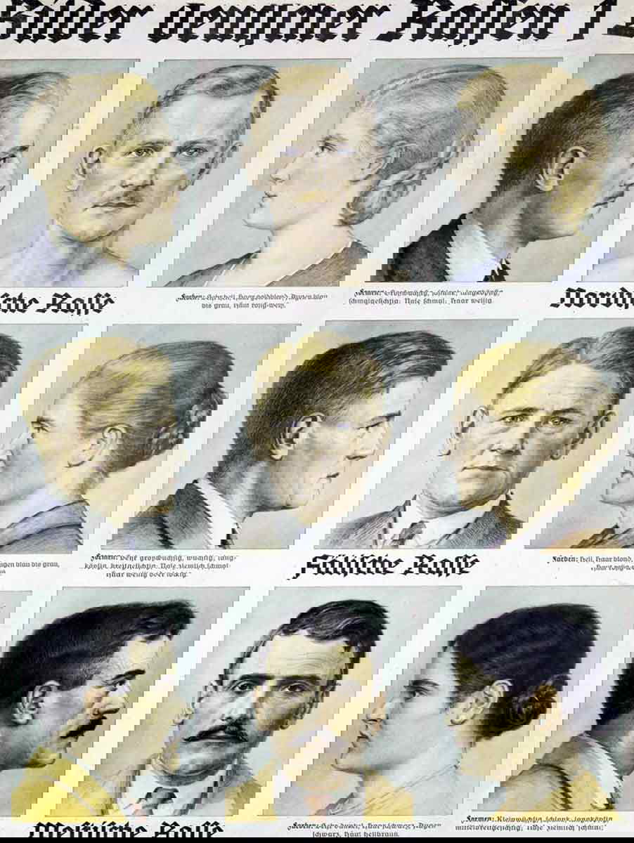 bilder deutscher rassen