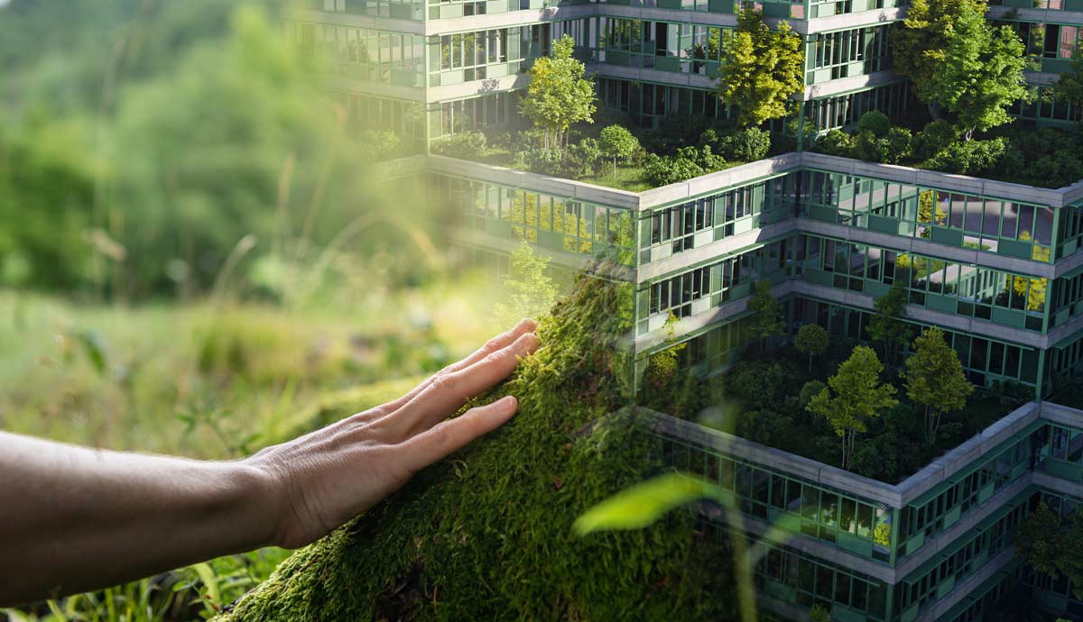 environmental ethics