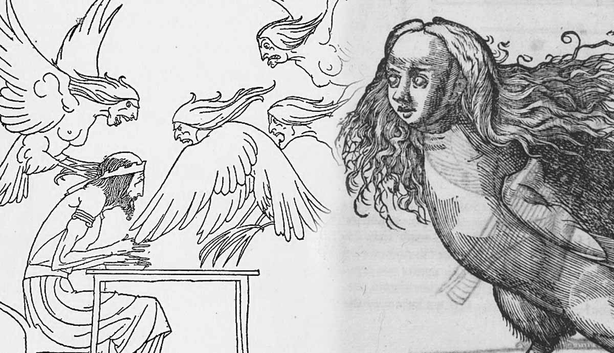 harpies vengeance greek mythology