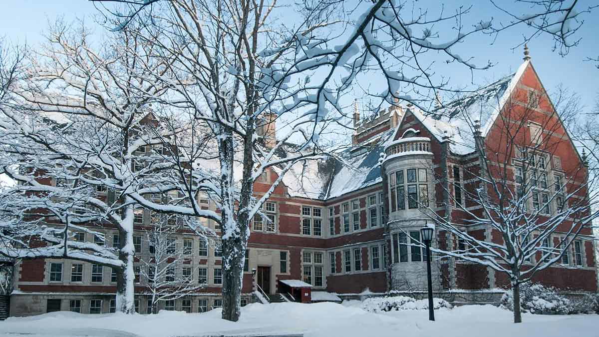 harry oakes bowdoin
