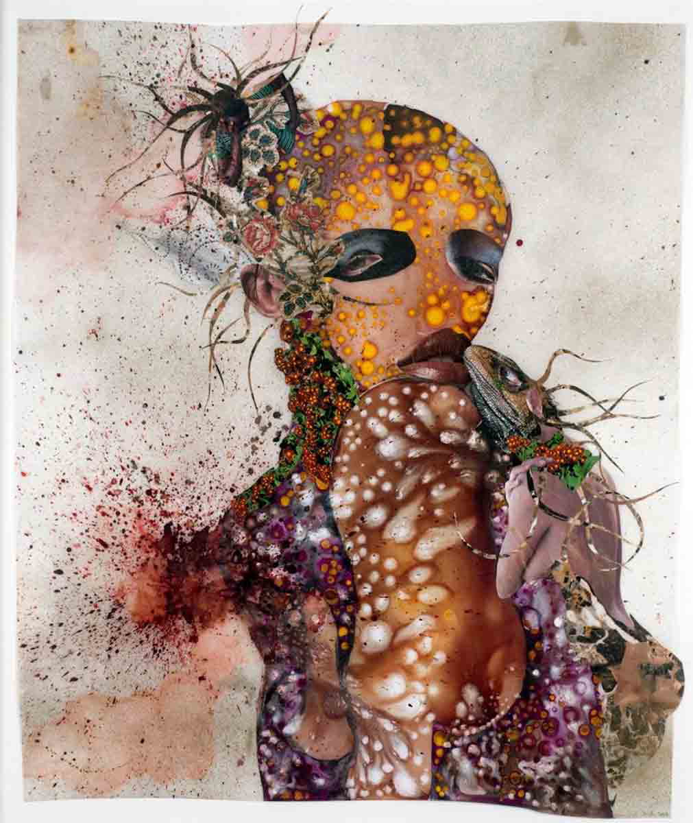 mutu lizard collage