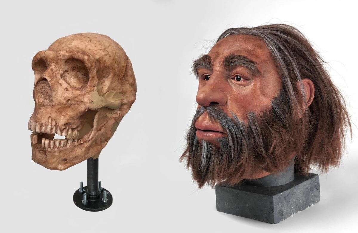 shanidar 1 facial reconstruction