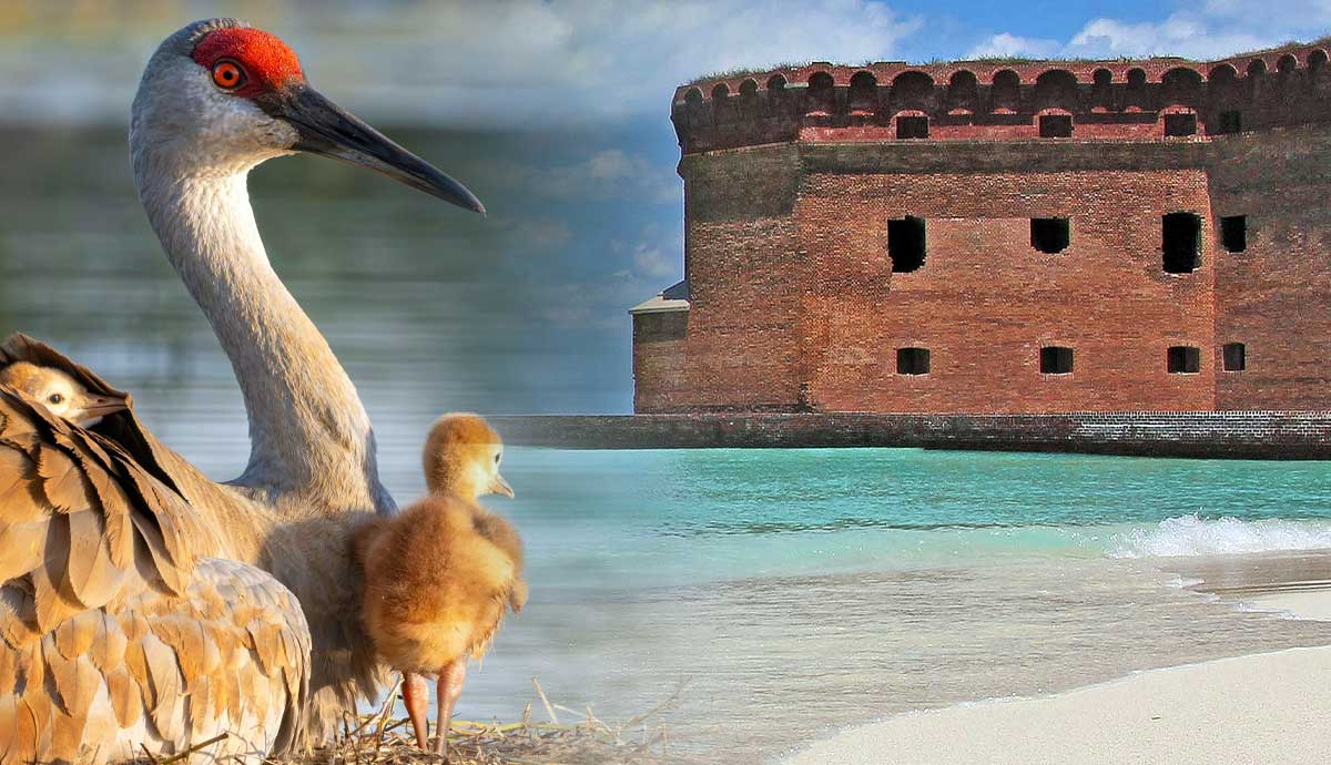 beautiful places florida tourists tend neglect