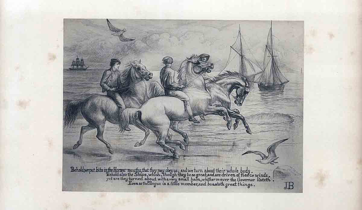 bible beasts and birds quote book of james