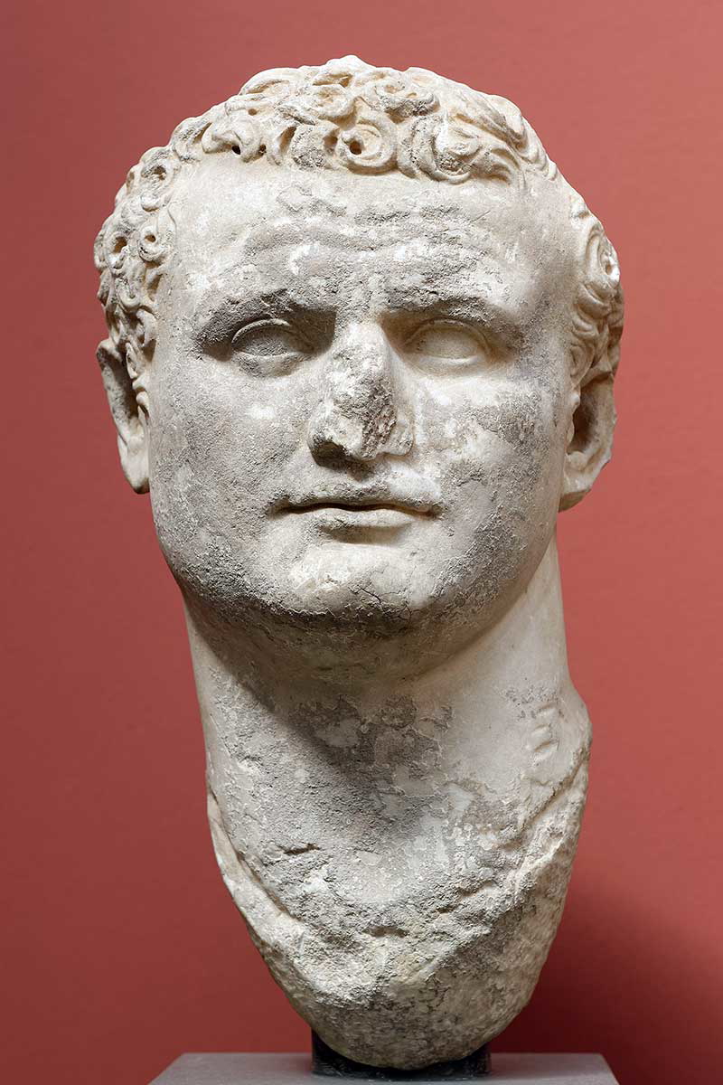 bust titus