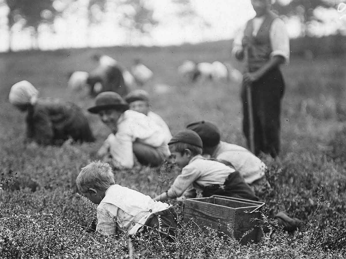 child labor in agriculture