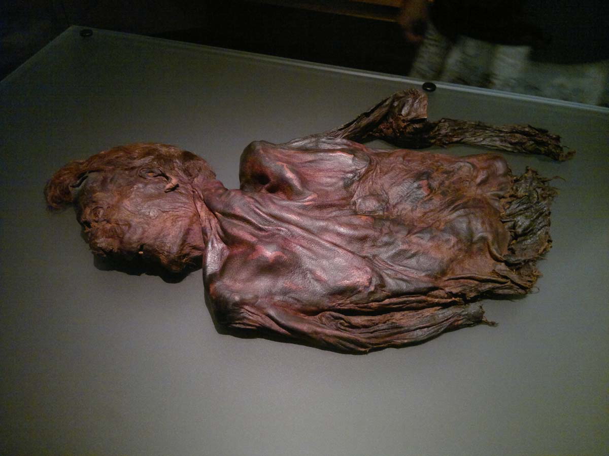 clonycavan man bog bodies