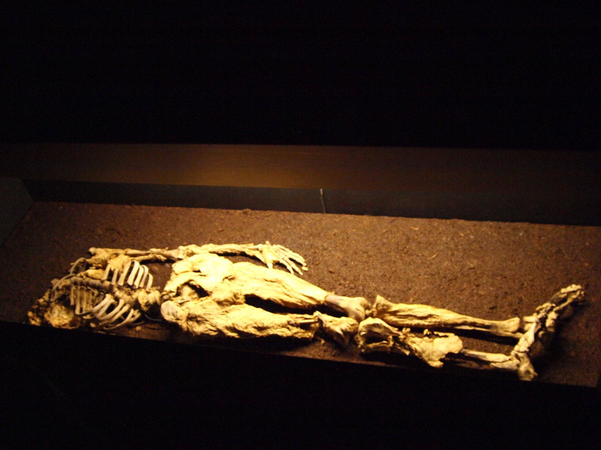 datgen man bog bodies