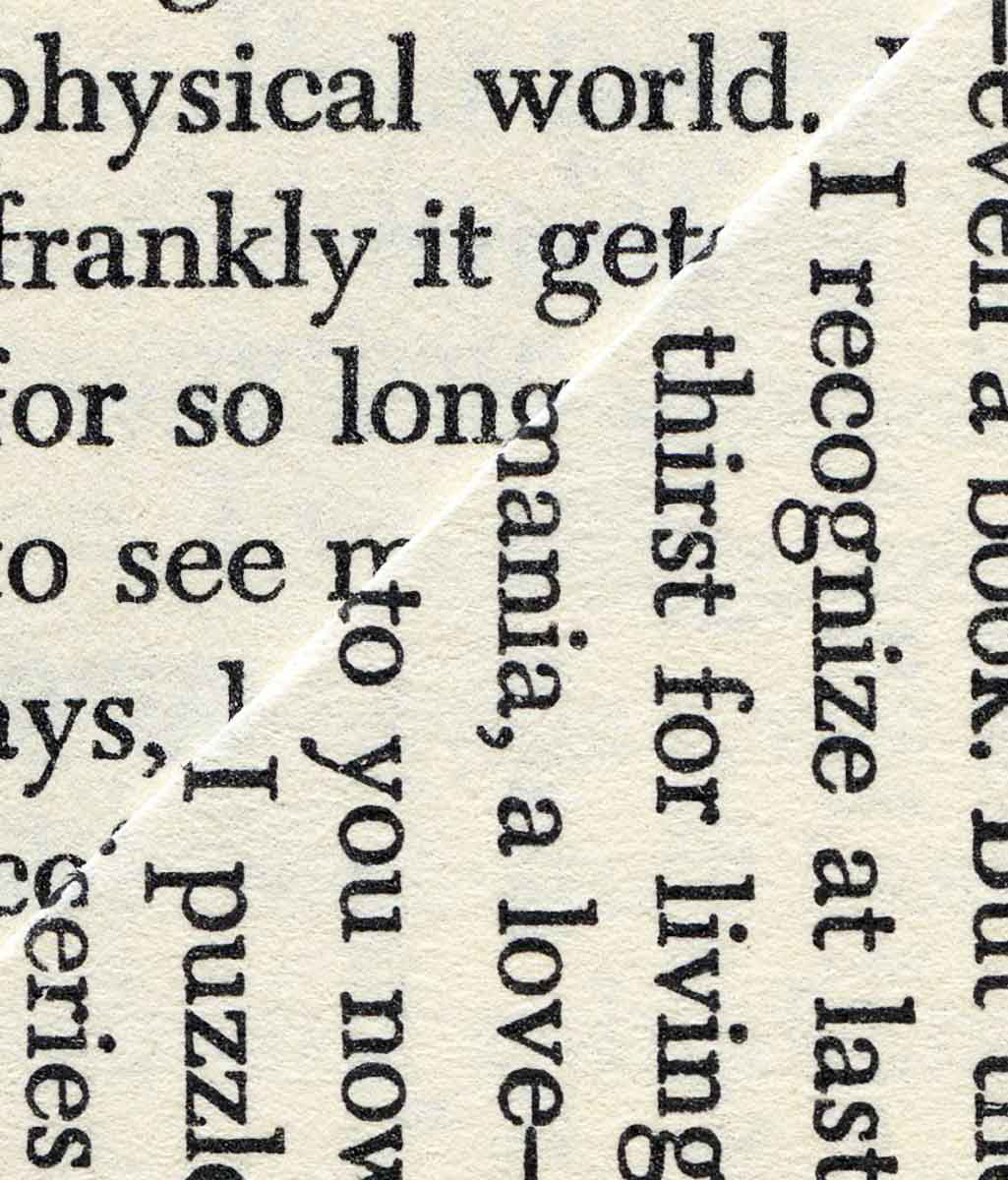 dog ear book pages words