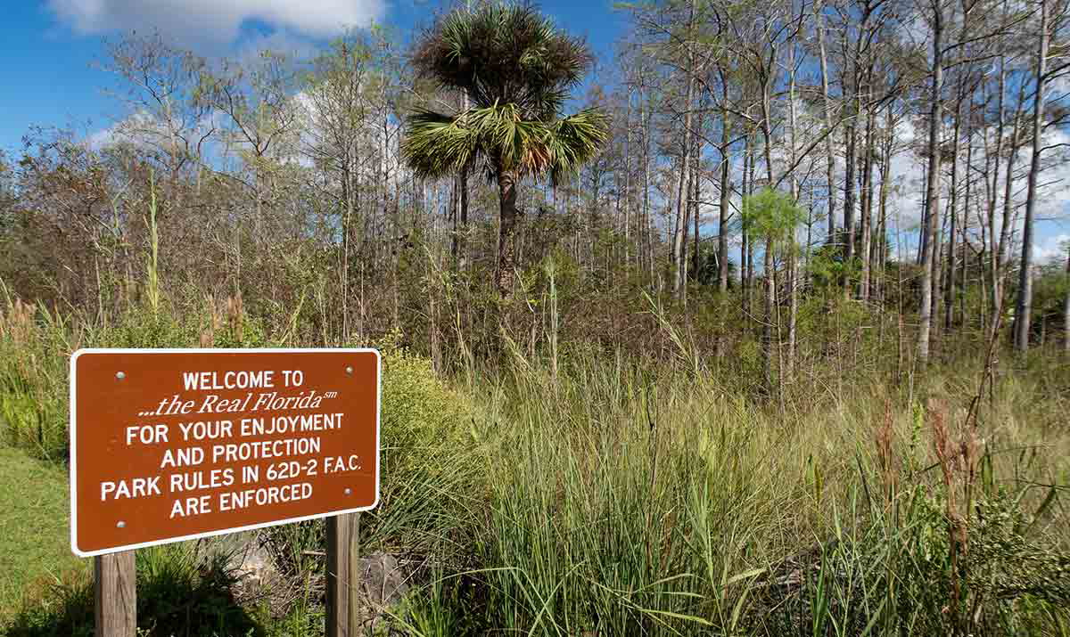fakahatchee park florida