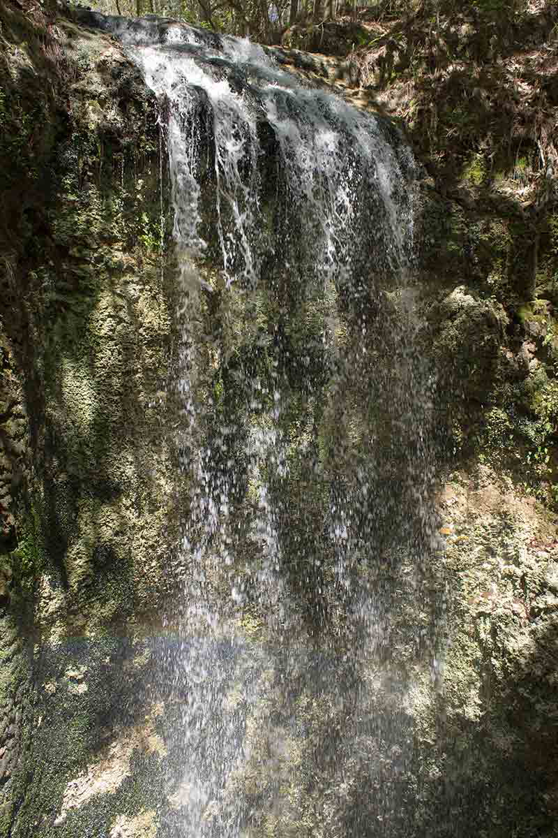 falling waters park florida