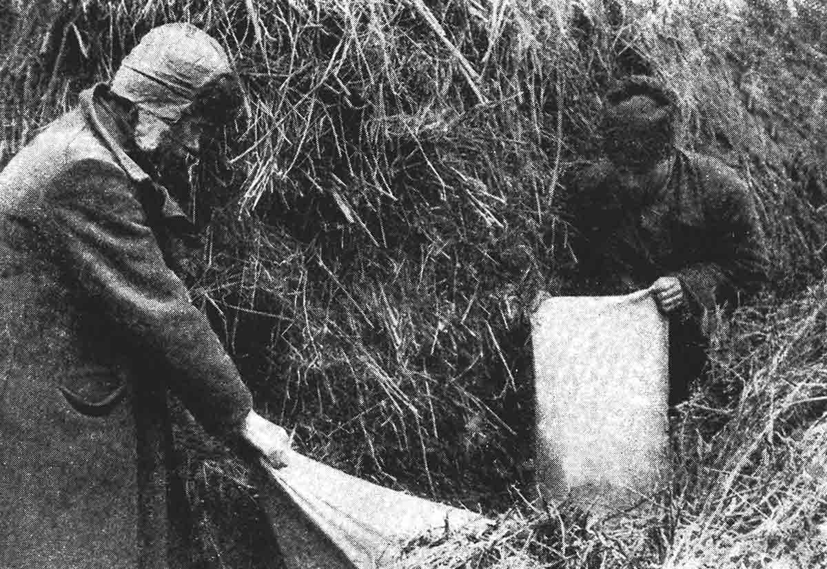 forced collectivization ussr