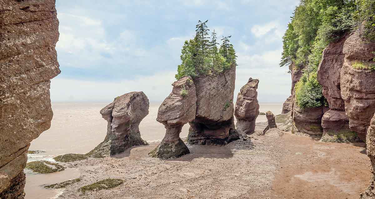 hopewell rocks maritimes