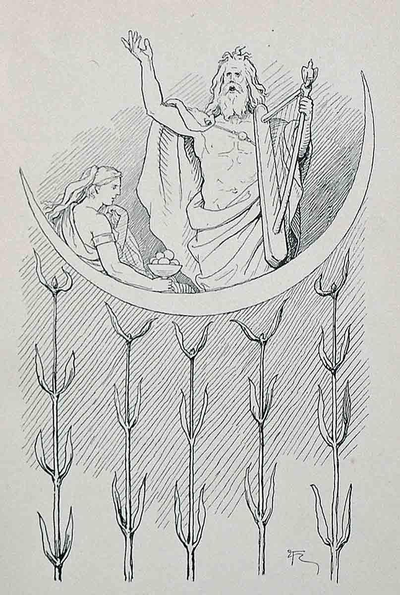 idunn bragi frohlich